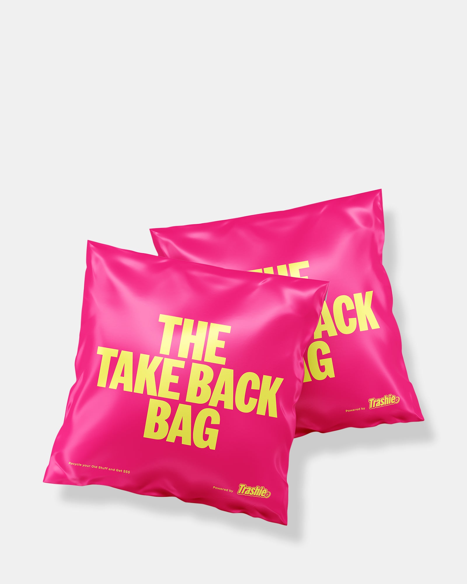 TRASHIE: THE TAKE BACK BAG – Steve Madden - Main Image