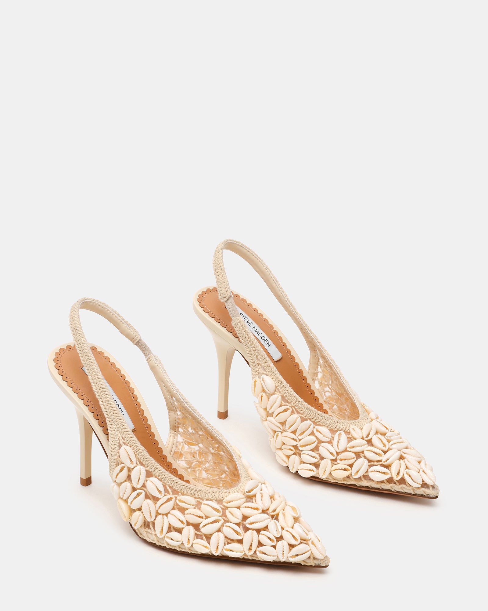 ANDROMEDA SHELL NATURAL