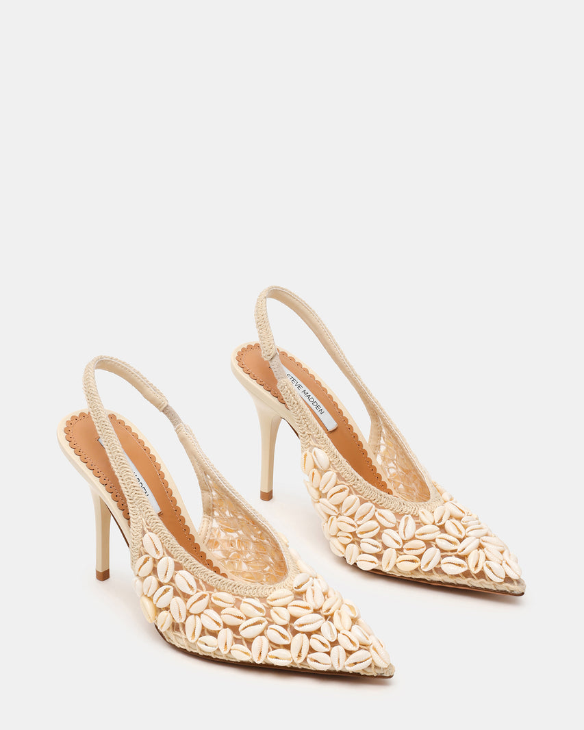 ANDROMEDA SHELL NATURAL