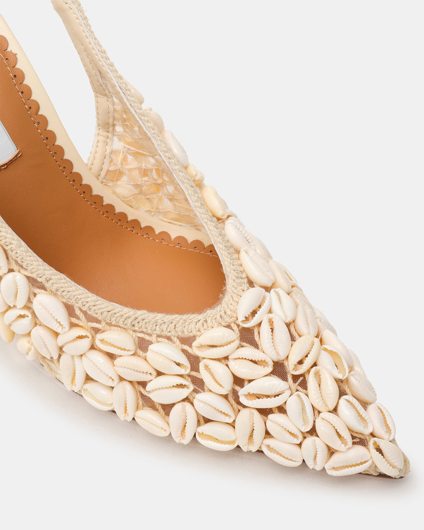 ANDROMEDA SHELL NATURAL