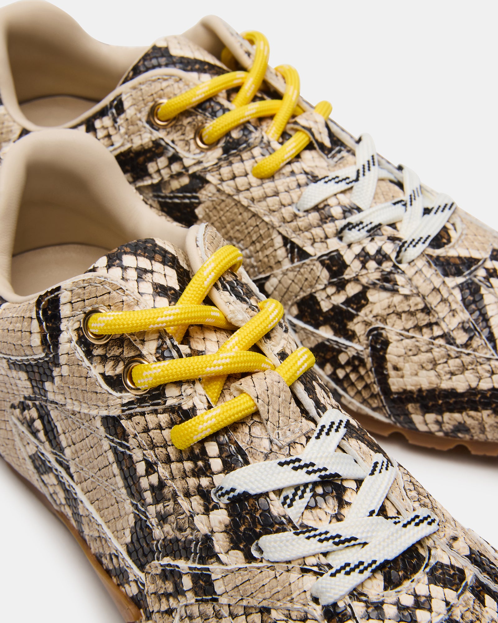 AZIEL Tan Snake Low-Top Lace-Up Women's Sneakers – Steve Madden