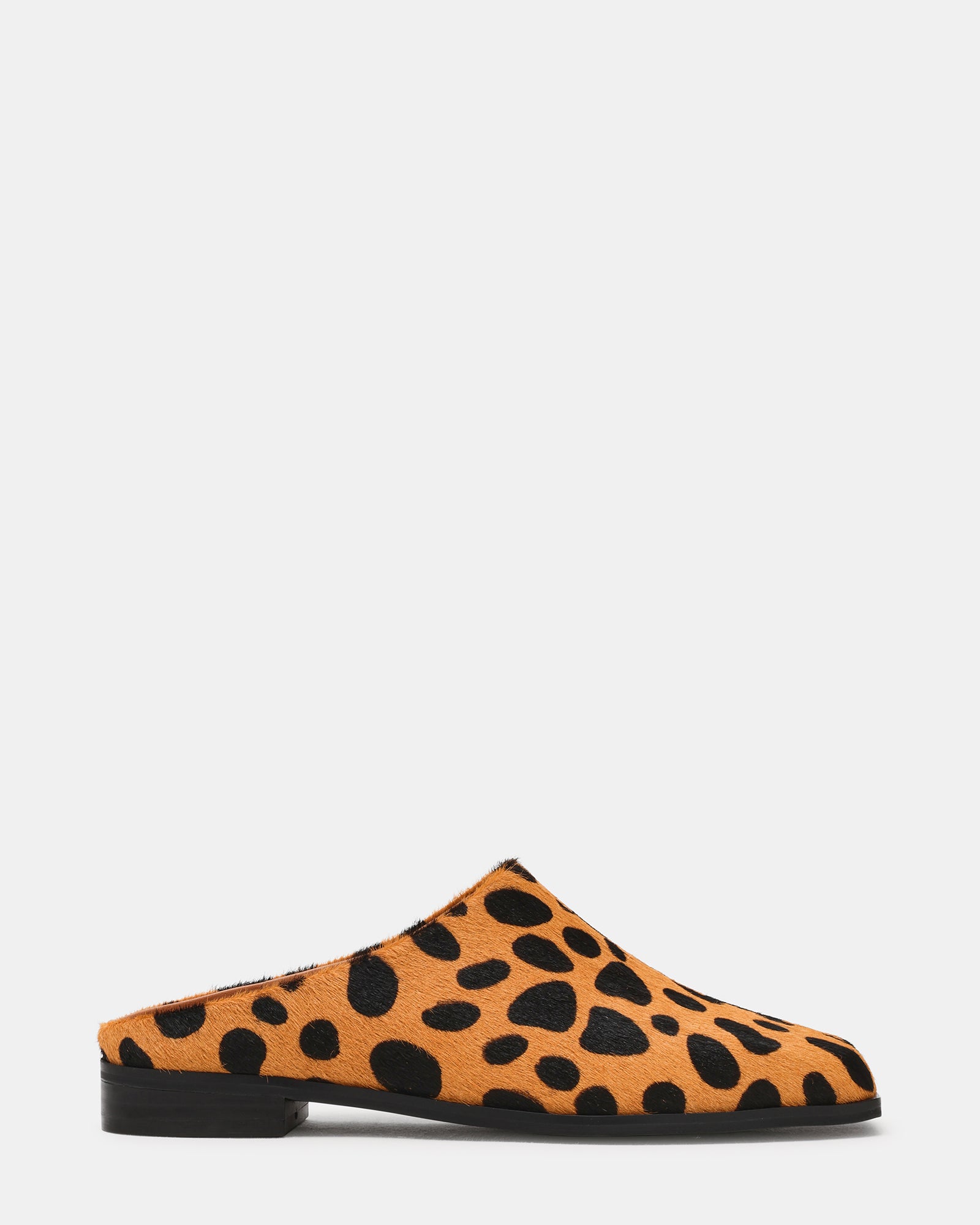 DELPHY SPOTTED LEOPARD