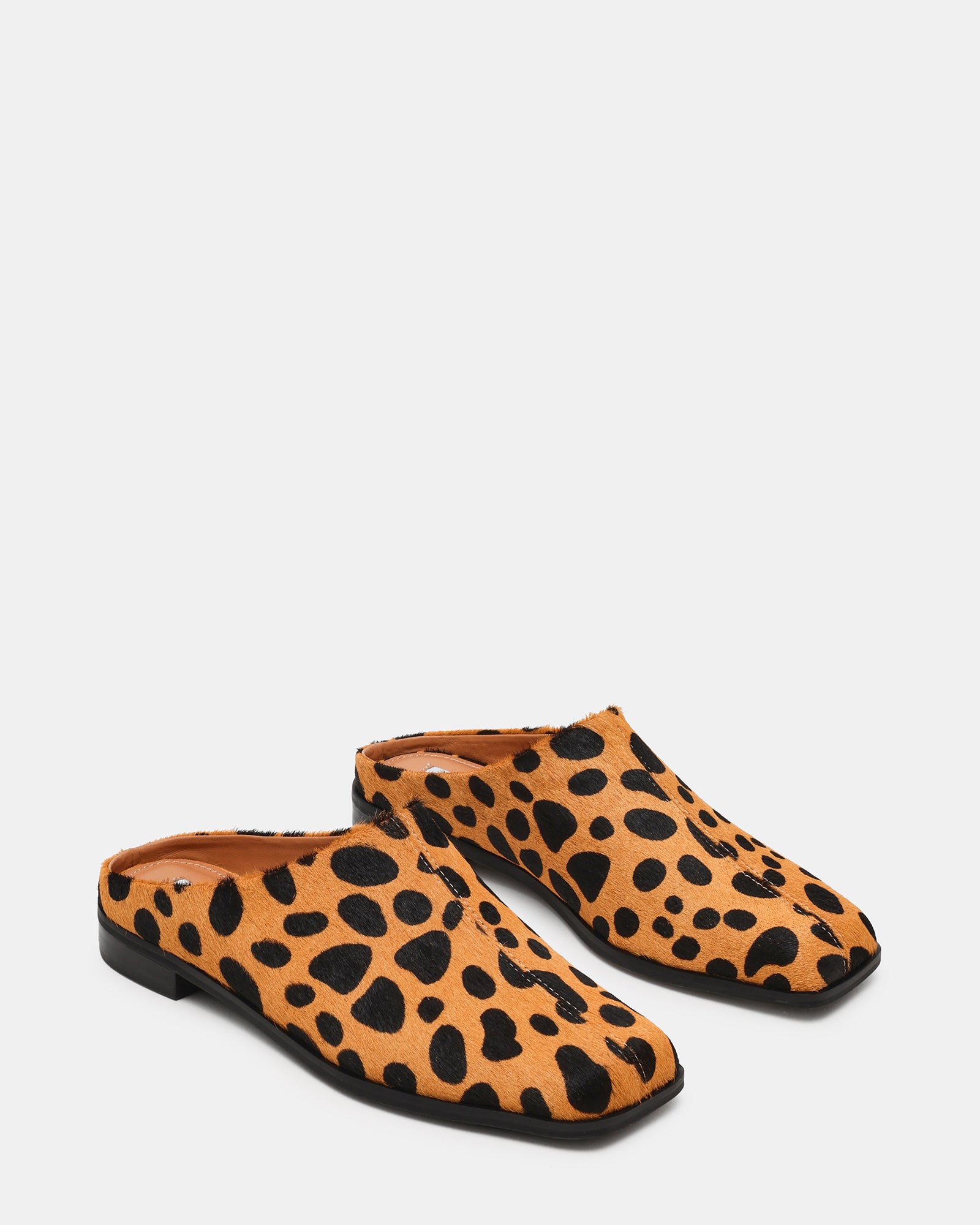 DELPHY SPOTTED LEOPARD - view 2
