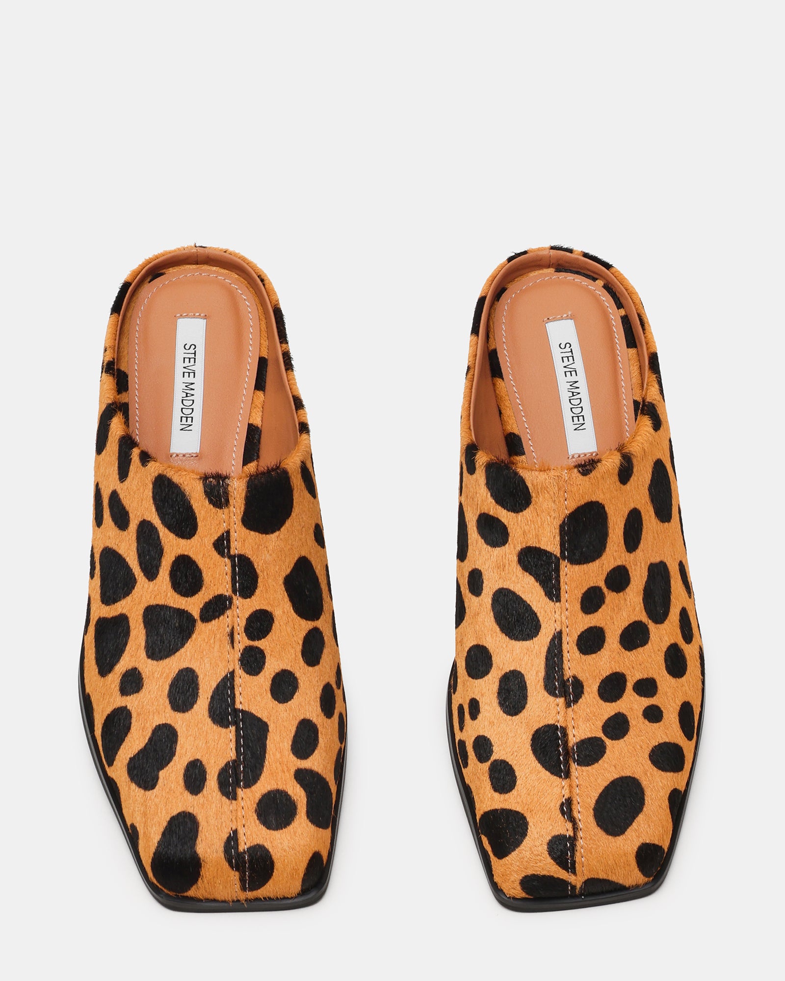DELPHY SPOTTED LEOPARD - view 4