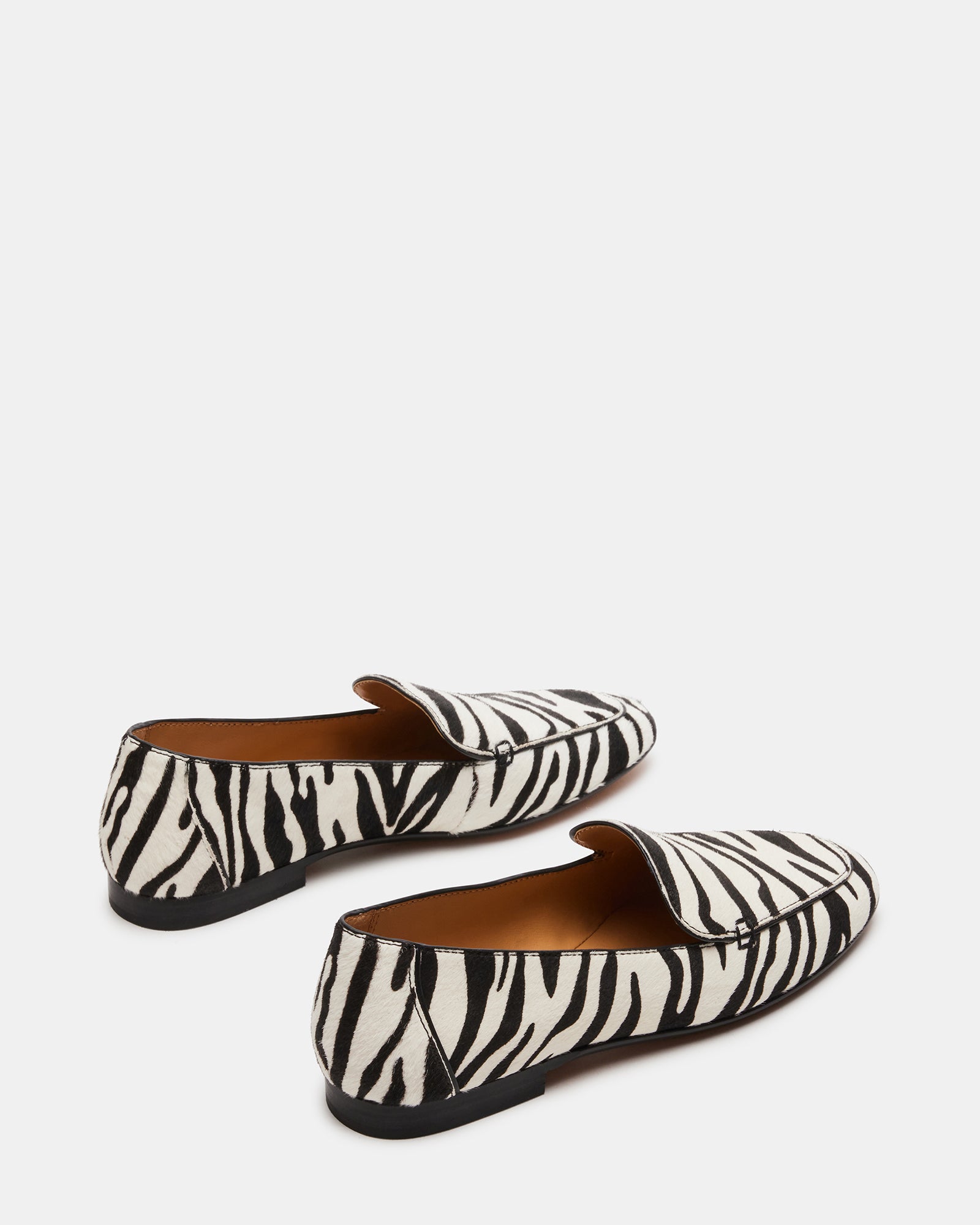 FITZ ZEBRA - view 6