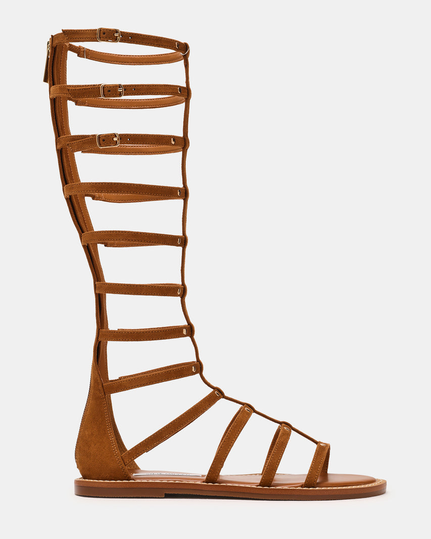 GLADIUS Chestnut Strappy Studs Knee-High Women's Sandal | Steve Madden