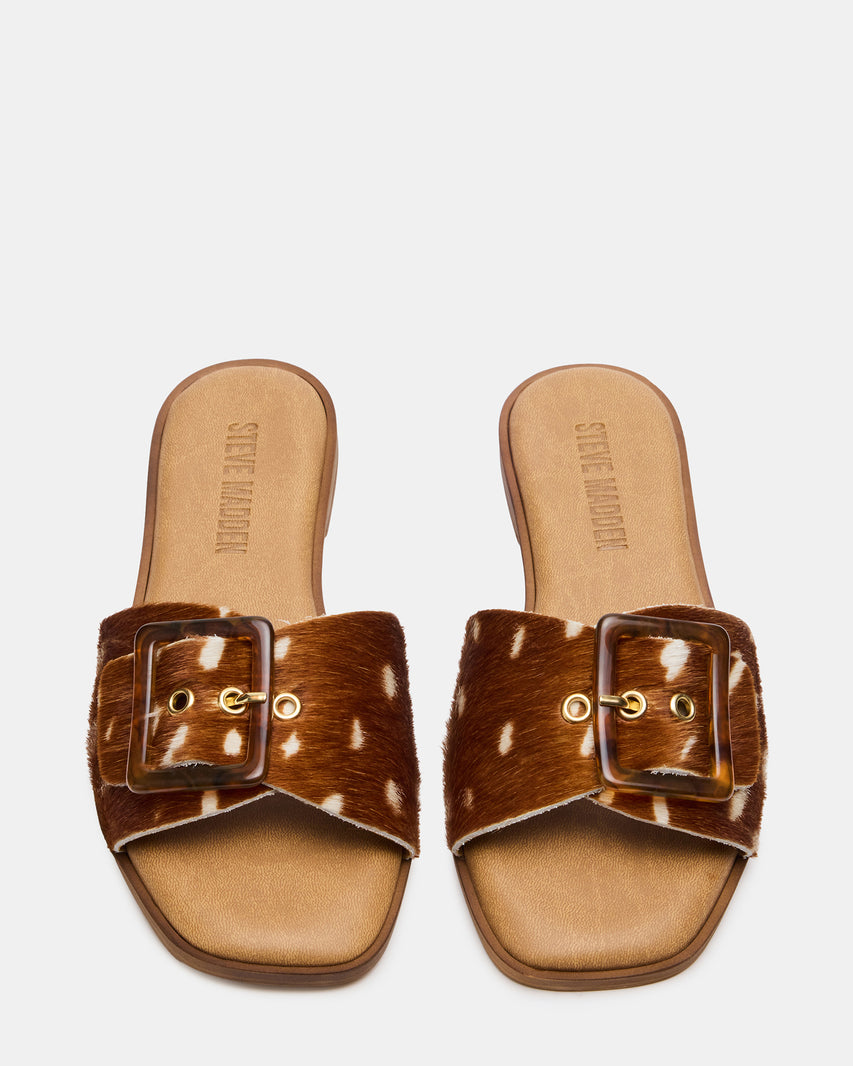 HAPP FAWN - view 4