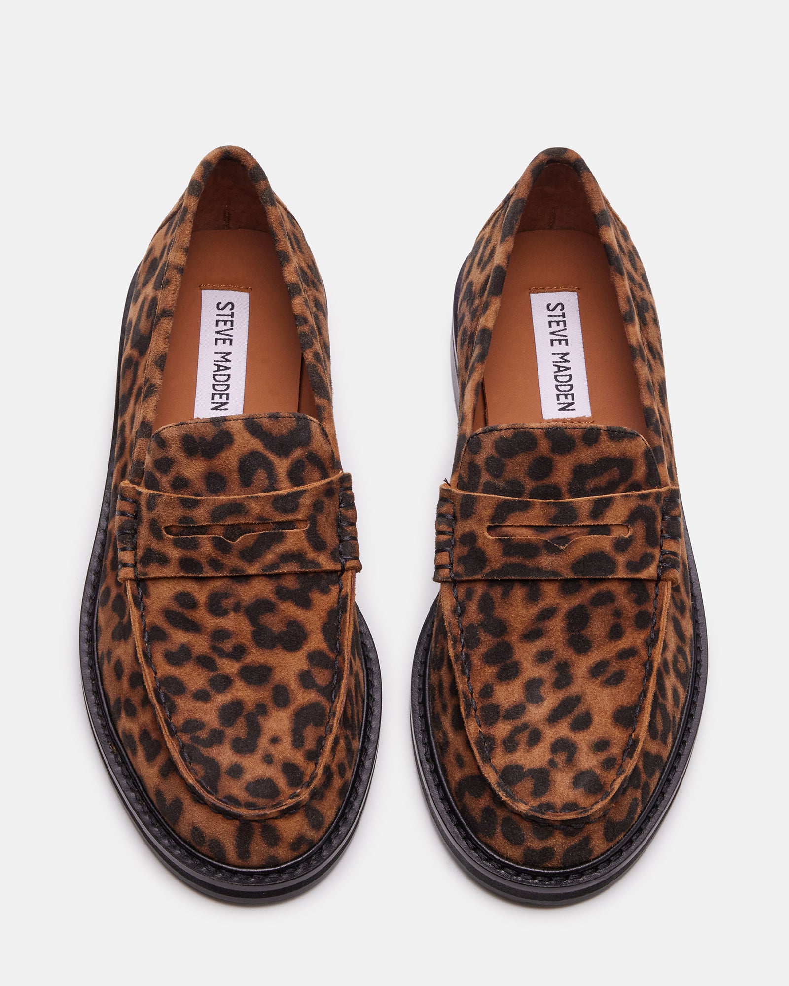 MADISON Leopard Women's Penny Loafer â Steve Madden