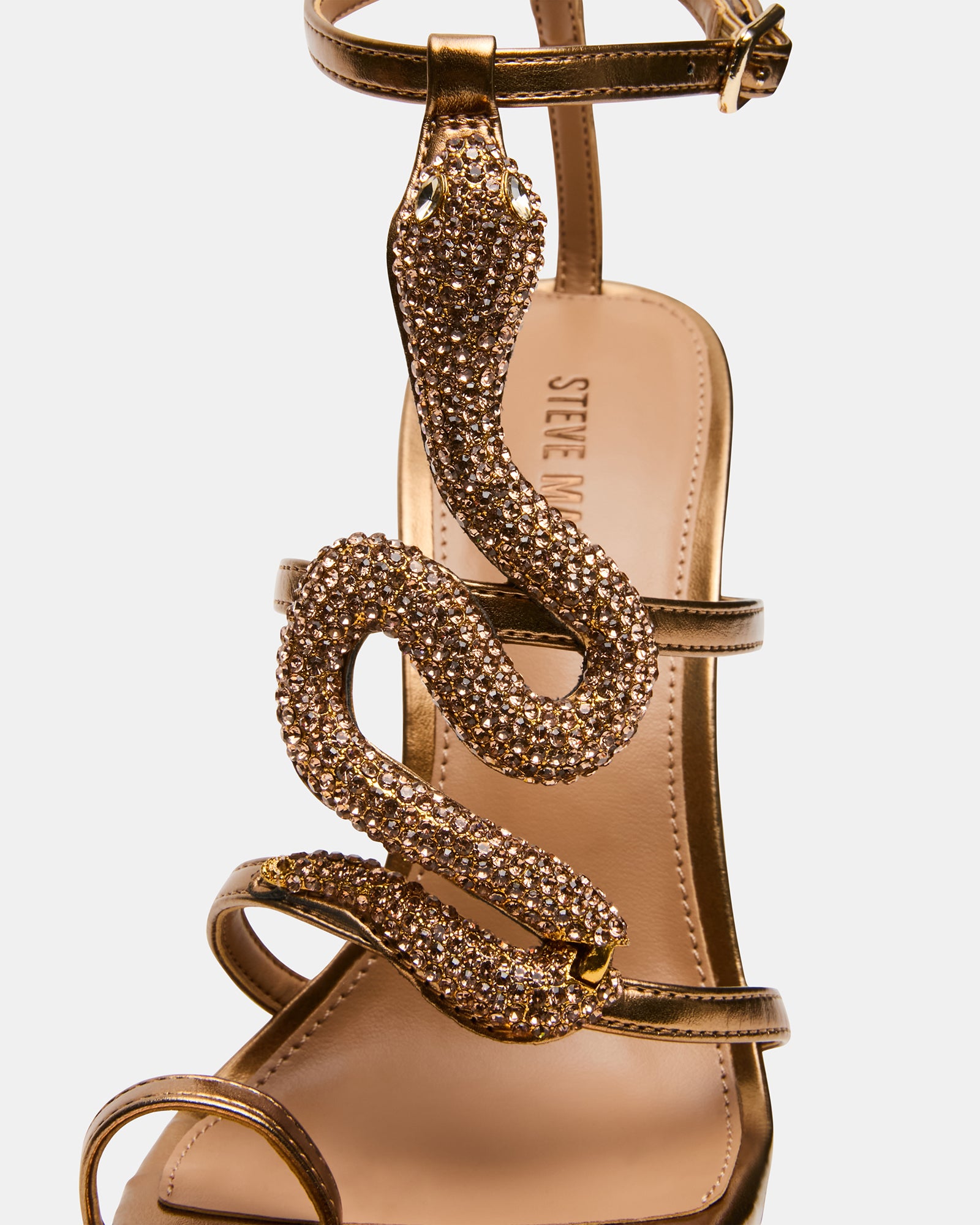 PYTHON BRONZE - view 3