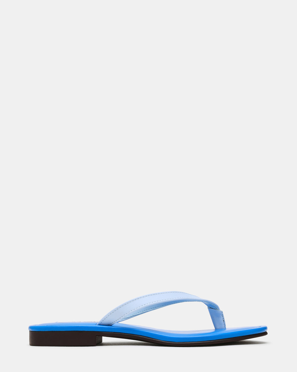 SEVY Blue Multi Thong Women's Sandal | Steve Madden