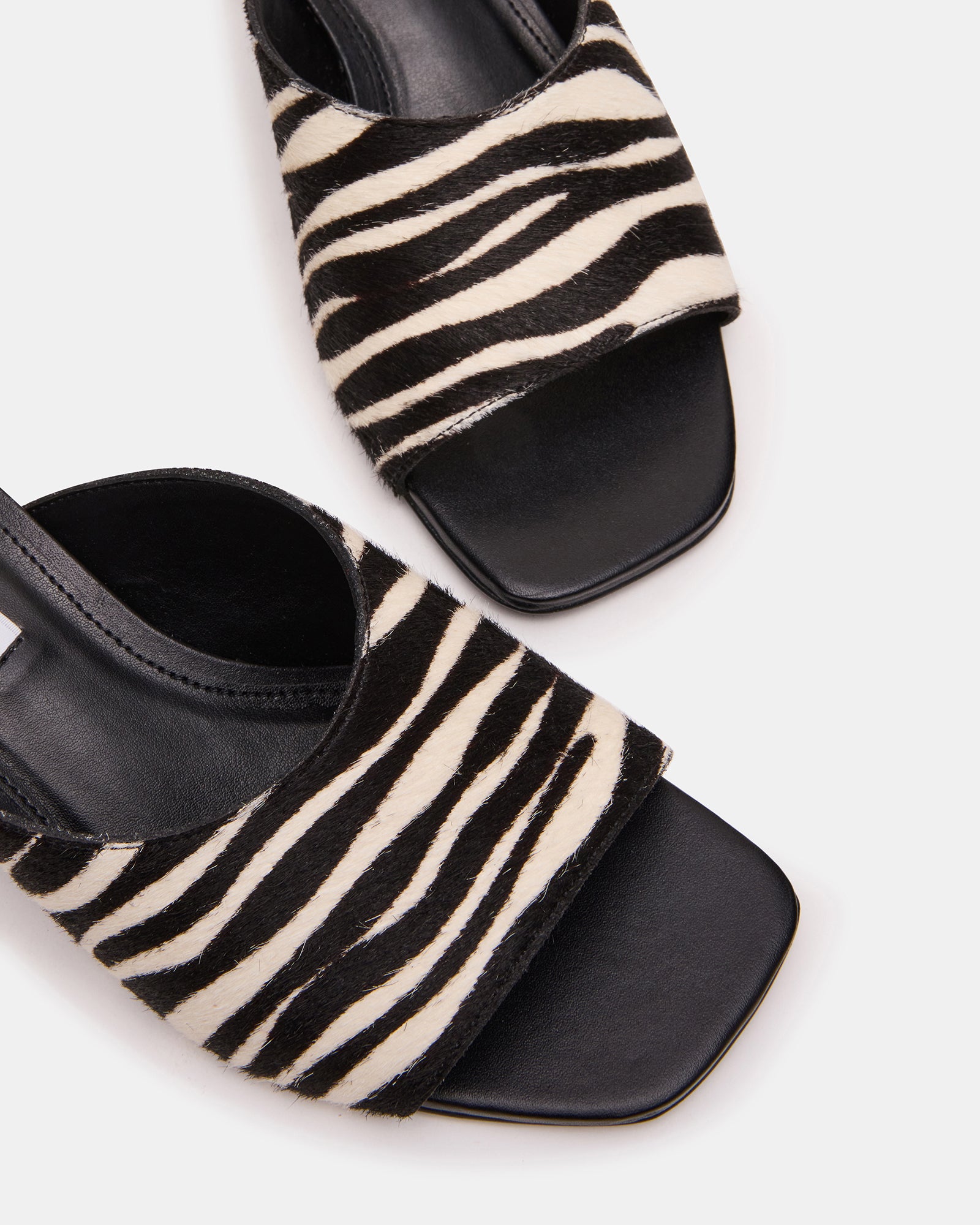 TRINA ZEBRA - view 3