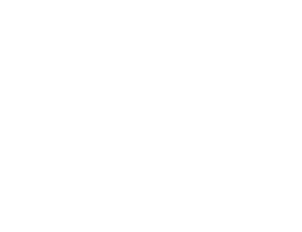 Steve 2025 madden ltd