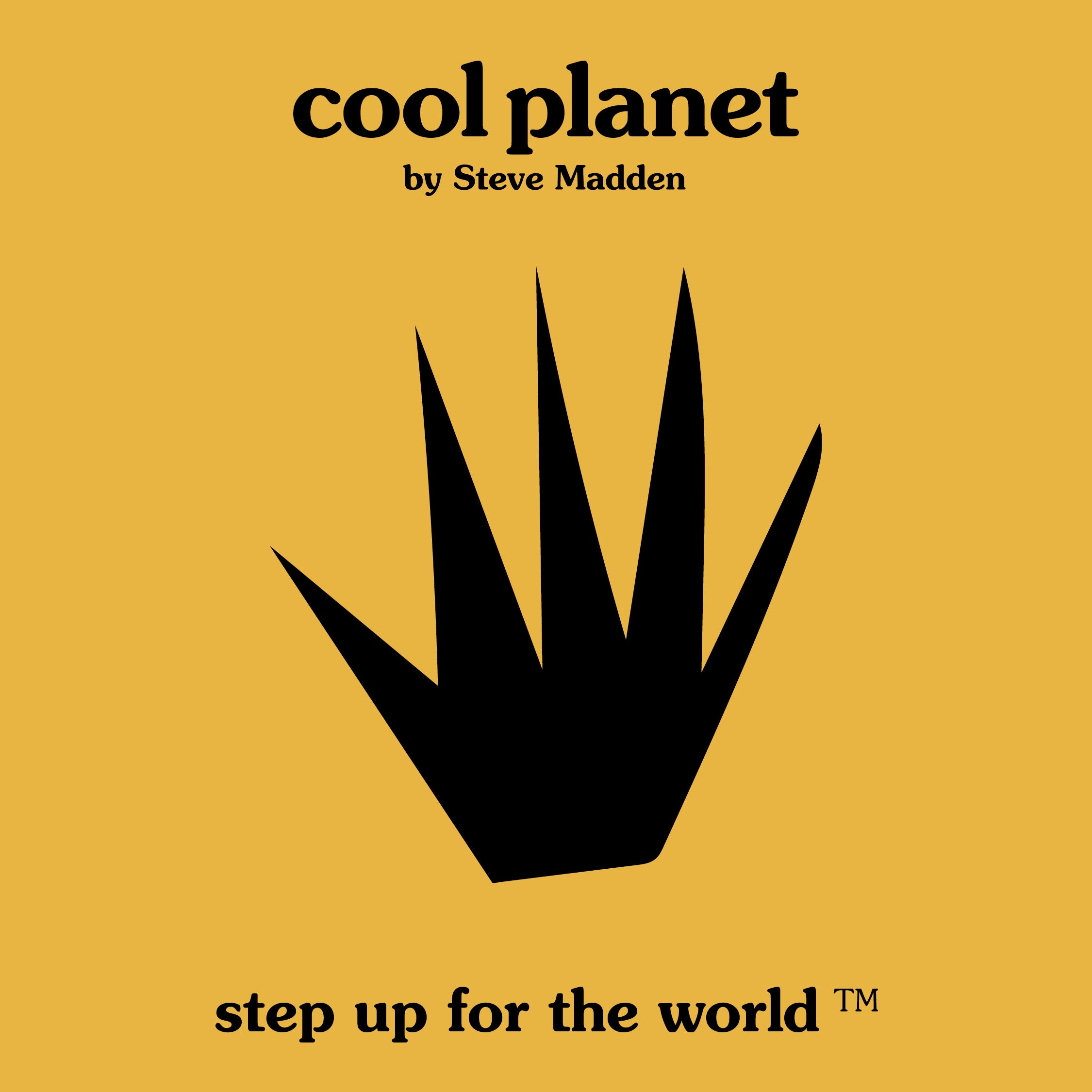 Cool Planet Steve Madden
